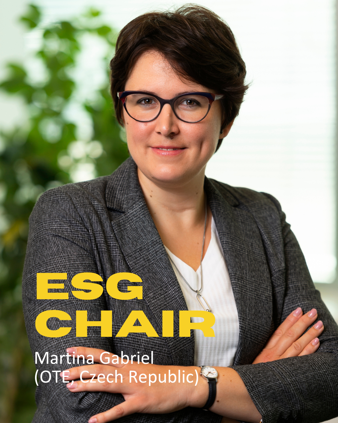 AIB ESG Chair Martina Gabriel